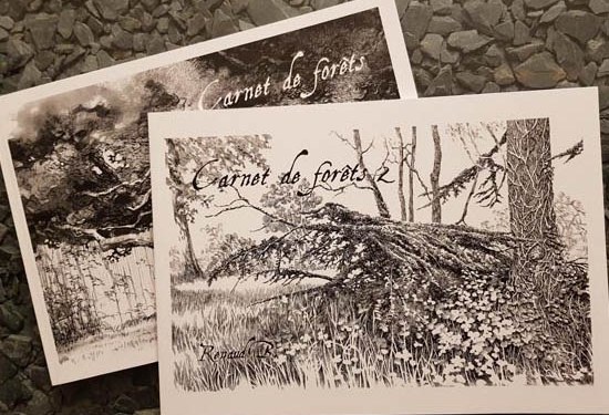 Carnets de forêts